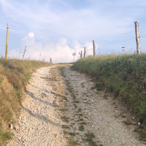 Image 18