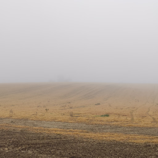 Image 31