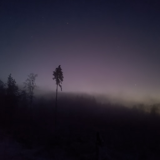 Image 38
